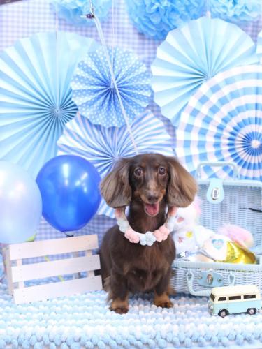 20231102ミニーちゃん